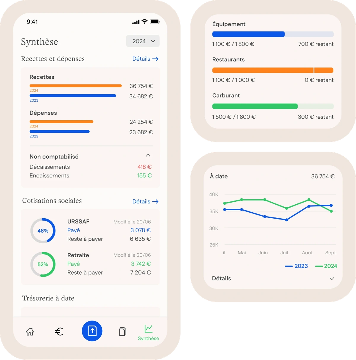 Application Ytems : synthèse des recettes, des dépenses et des cotisations URSSAF et retraite